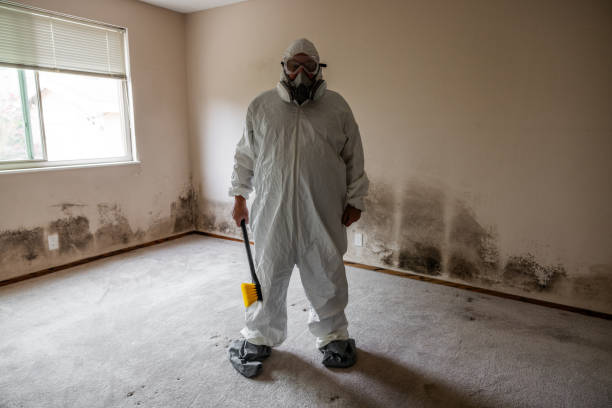 Best Mold Removal Process  in Sartell, MN